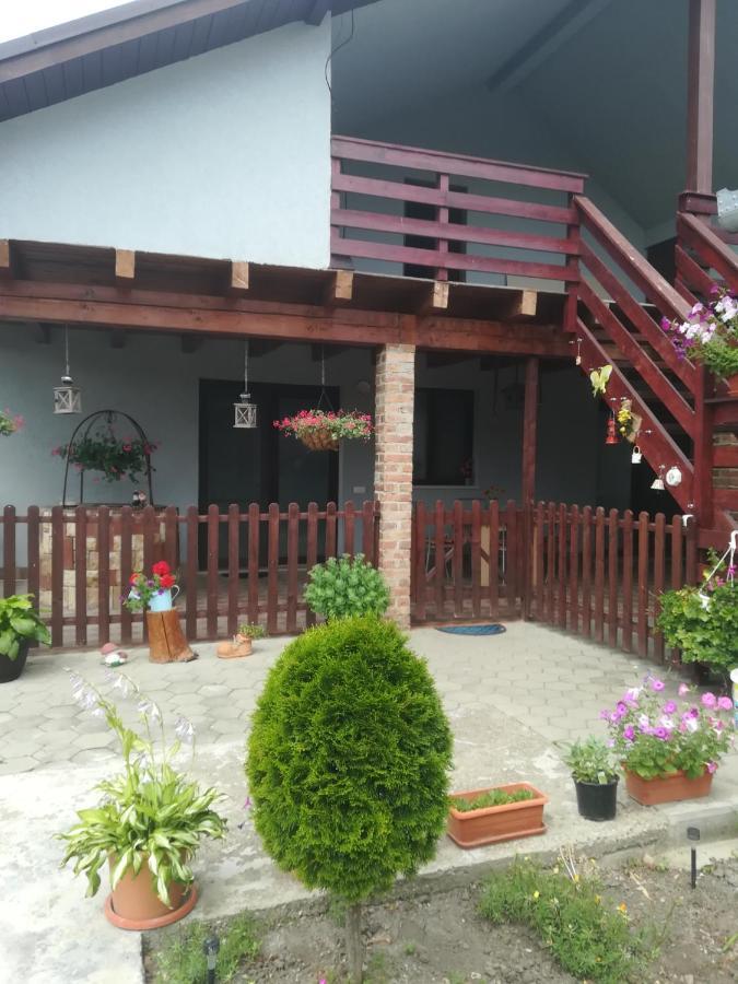 Casa Ricciotti Βίλα Tritenii de Jos Εξωτερικό φωτογραφία