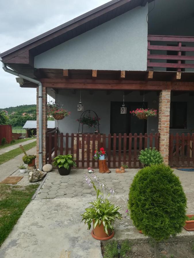 Casa Ricciotti Βίλα Tritenii de Jos Εξωτερικό φωτογραφία